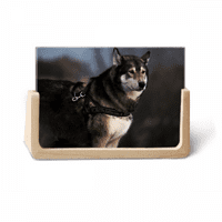 Куче хъски животни самотни нощни снимки Дървена фото рамка настолка дисплей