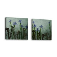 Комплект от - Blue Irises I - Съвременна изящна изкуство Giclee on Canvas Gallery Wrap - Декор за стена - Арт живопис - Готов за окачване