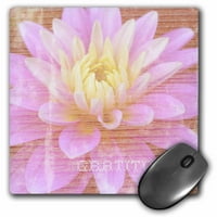 3Drose Zen благодарност розов Dahlia Flower Wood Design Flower Photography, мишка подложка, от