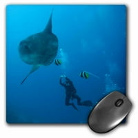 3Drose Ocean Sunfish, Nusa Penida, Bali, Indonesia -As SWS - Stuart Westmorland - Pad Mouse, от