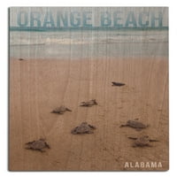 Orange Beach, Alabama, морски костенурки, излюпващи бреза дървена стена